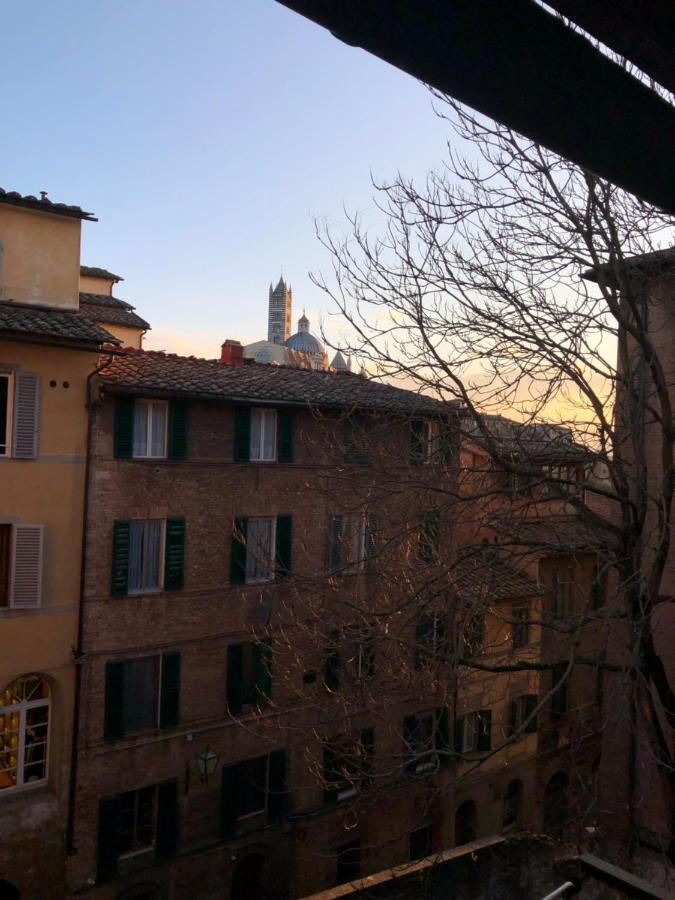 Teresa 91, Appartamento Incantevole Vista Duomo Siena Zewnętrze zdjęcie
